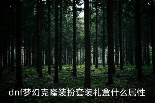 dnf梦幻克隆装扮套装礼盒什么属性