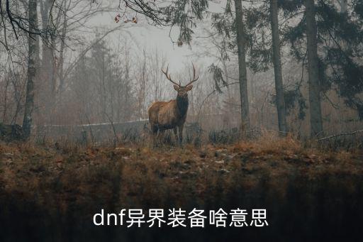 dnf什么是异界装备属性，DNF问题下面图的异界装备属性是什么意思