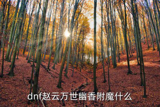 dnf赵云属性强化选什么，地下城各职业学什么属性强化