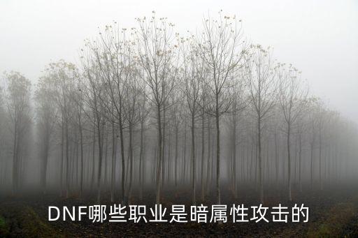 DNF哪些职业是暗属性攻击的
