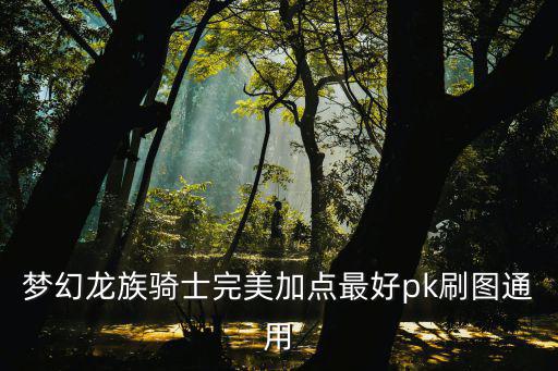 梦幻龙族骑士完美加点最好pk刷图通用