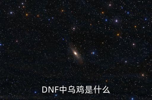 dnf乌鸡是走什么属性，DNF中乌鸡是什么