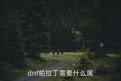 dnf帕拉丁需要什么属