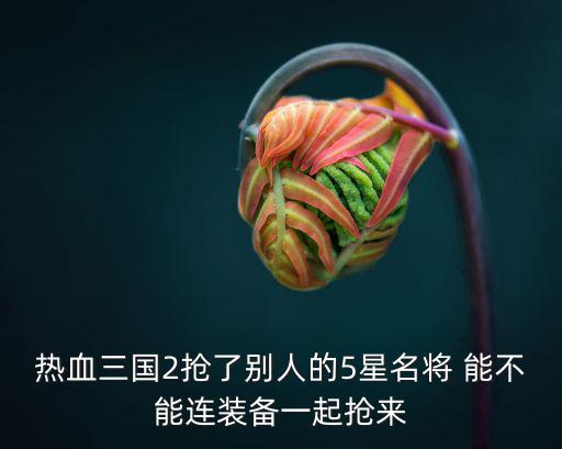 热血三国2抢了别人的5星名将 能不能连装备一起抢来