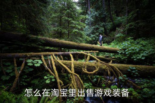 游戏装备怎么弄出来卖，卖游戏装备怎么弄