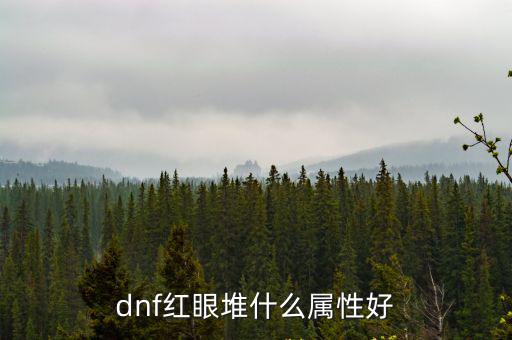 dnf红眼堆什么属性好