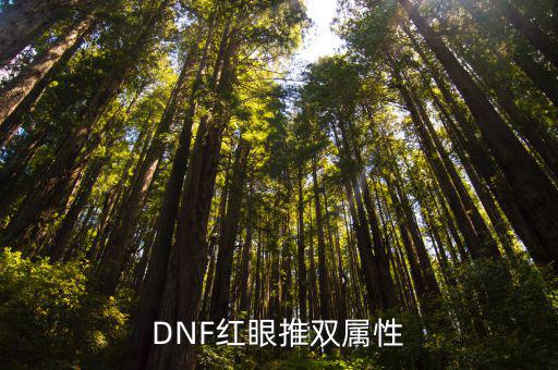 dnf红眼双属性选什么，地下城红眼满级装备属性分析以及红眼双修加点分配谁有