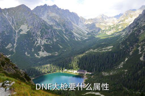 dnf 大枪是要什么属性，DNF大枪什么属性的啊