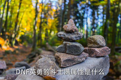 dnf 满属性 什么意思，DNF英勇的斗士满属性是什么