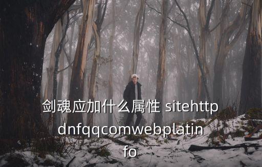剑魂应加什么属性 sitehttpdnfqqcomwebplatinfo