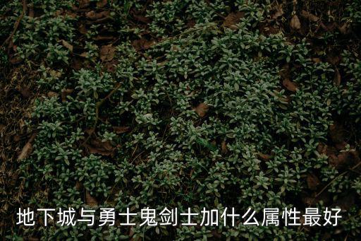 地下城与勇士鬼剑士加什么属性最好