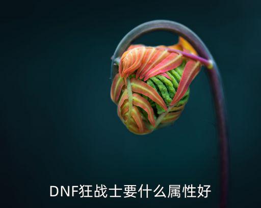 dnf狂战士选择什么属性，DNF狂战士要什么属性好