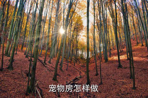 宠物房怎样做