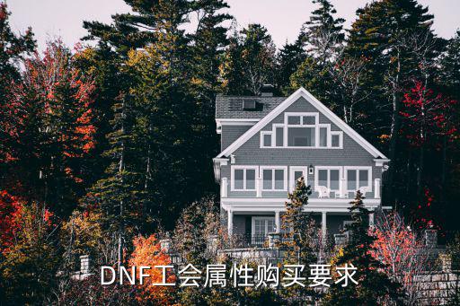 DNF工会属性购买要求