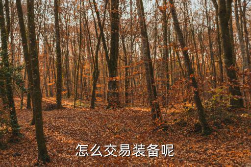 怎么交易装备呢