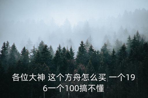 各位大神 这个方舟怎么买 一个196一个100搞不懂