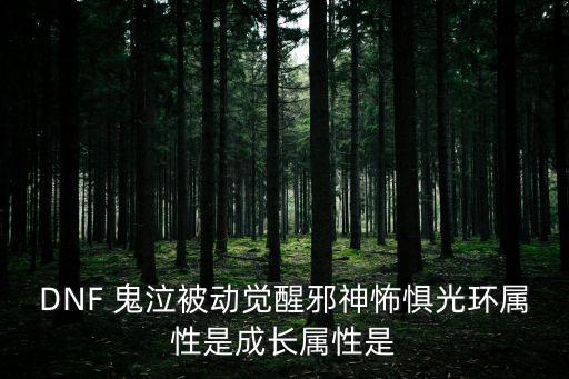 DNF 鬼泣被动觉醒邪神怖惧光环属性是成长属性是