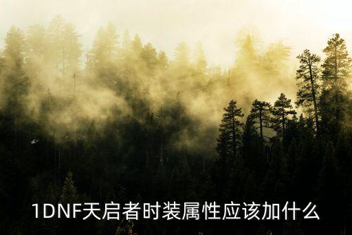 1DNF天启者时装属性应该加什么