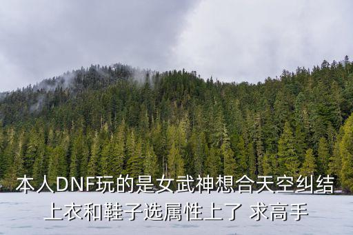 本人DNF玩的是女武神想合天空纠结上衣和鞋子选属性上了 求高手