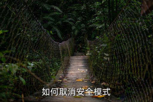穿越手游安全模式怎么解除，如何取消安全模式