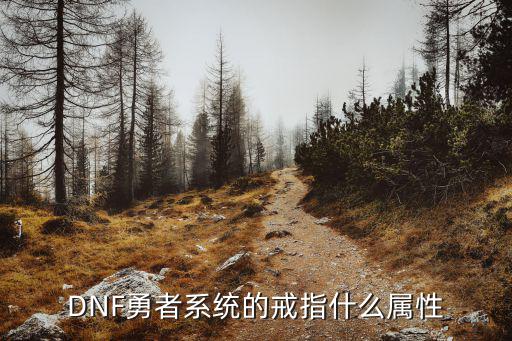 DNF勇者系统的戒指什么属性