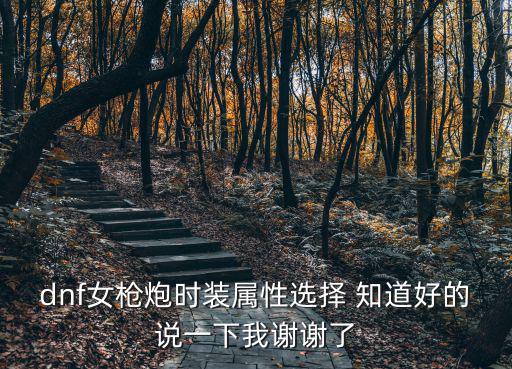 dnf女枪炮时装属性选择 知道好的说一下我谢谢了