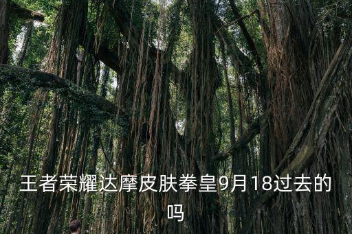 王者荣耀达摩皮肤拳皇9月18过去的吗