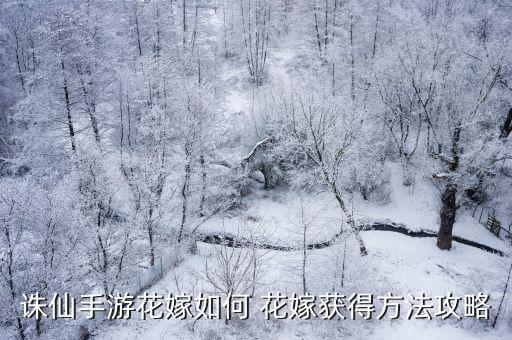 诛仙手游花嫁如何 花嫁获得方法攻略