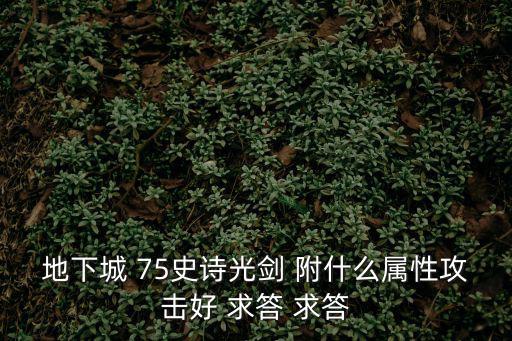 地下城 75史诗光剑 附什么属性攻击好 求答 求答