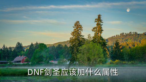 DNF剑圣应该加什么属性
