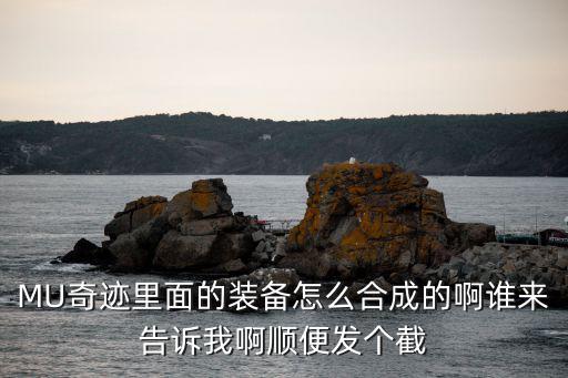 MU奇迹里面的装备怎么合成的啊谁来告诉我啊顺便发个截