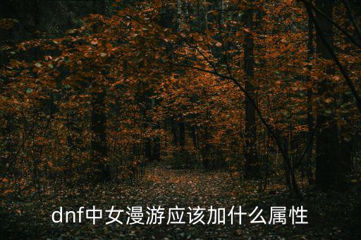dnf中女漫游应该加什么属性