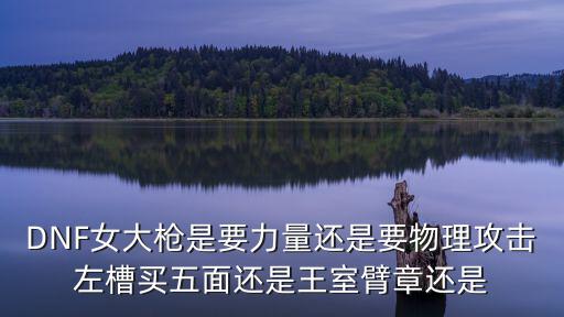 DNF女大枪是要力量还是要物理攻击左槽买五面还是王室臂章还是