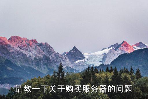 请教一下关于购买服务器的问题