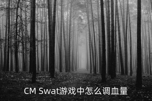 全面战争模拟器手游版怎么改血，怎么修改手游apk里面的东西比如怪物的血量攻击力等