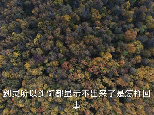 剑灵所以头饰都显示不出来了是怎样回事
