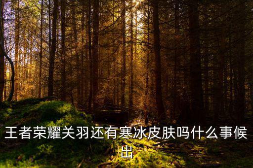 王者荣耀关羽还有寒冰皮肤吗什么事候出