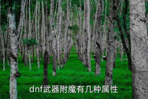 dnf武器附魔有几种属性
