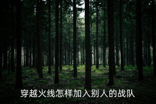 穿越火线怎样加入别人的战队
