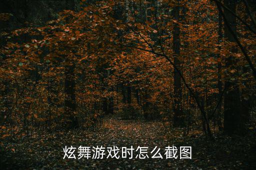 炫舞游戏时怎么截图