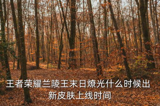 王者荣耀兰陵王末日燎光什么时候出 新皮肤上线时间