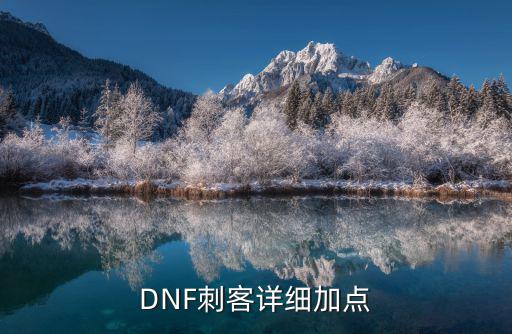 DNF刺客详细加点