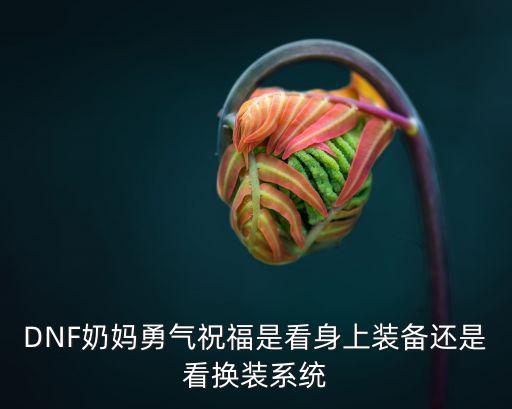 dnf勇气祝福是什么属性，DNF的祝福属性有什么用