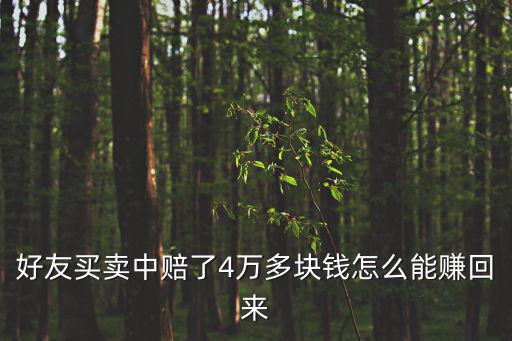 好友买卖中赔了4万多块钱怎么能赚回来