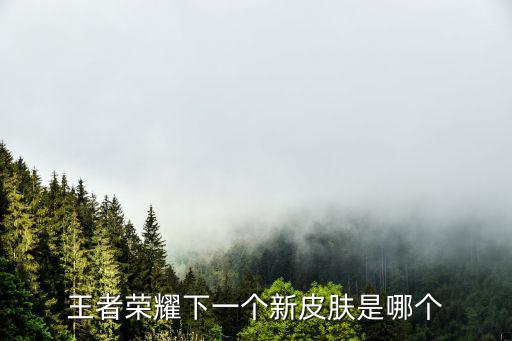 王者荣耀下一个新皮肤是哪个