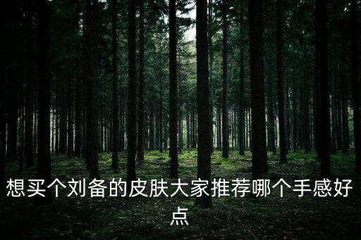 想买个刘备的皮肤大家推荐哪个手感好点