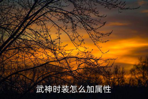 武神时装怎么加属性