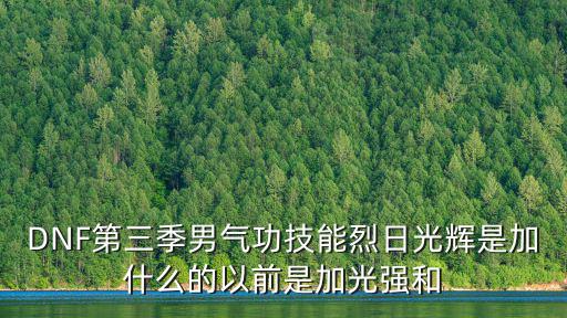 DNF第三季男气功技能烈日光辉是加什么的以前是加光强和