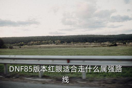 DNF85版本红眼适合走什么属强路线