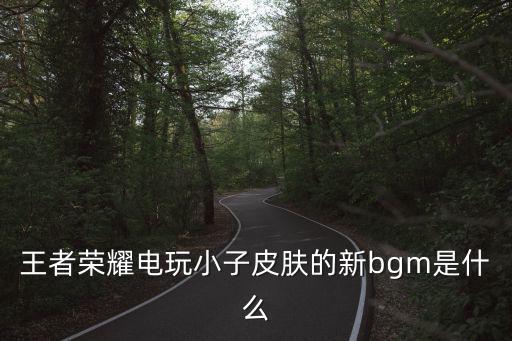 王者荣耀新皮肤的画风是什么，王者荣耀原画是什么画风是属于半Q半写实